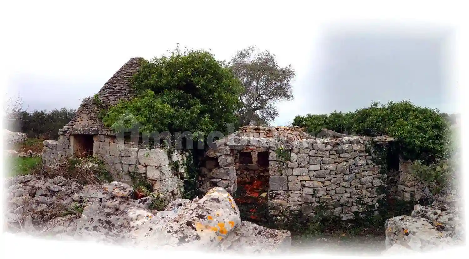 Rustico - Casale - foto 3