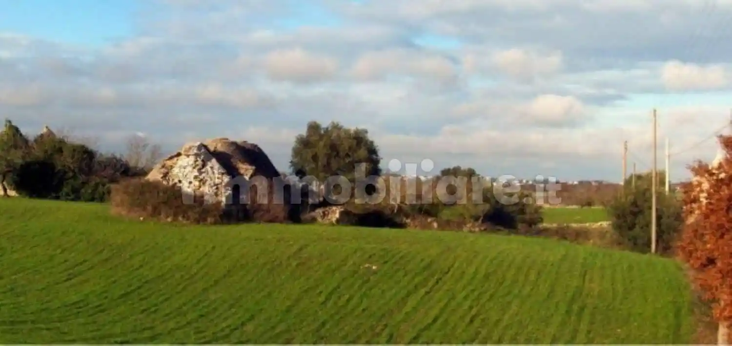 Rustico - Casale in vendita a Martina Franca