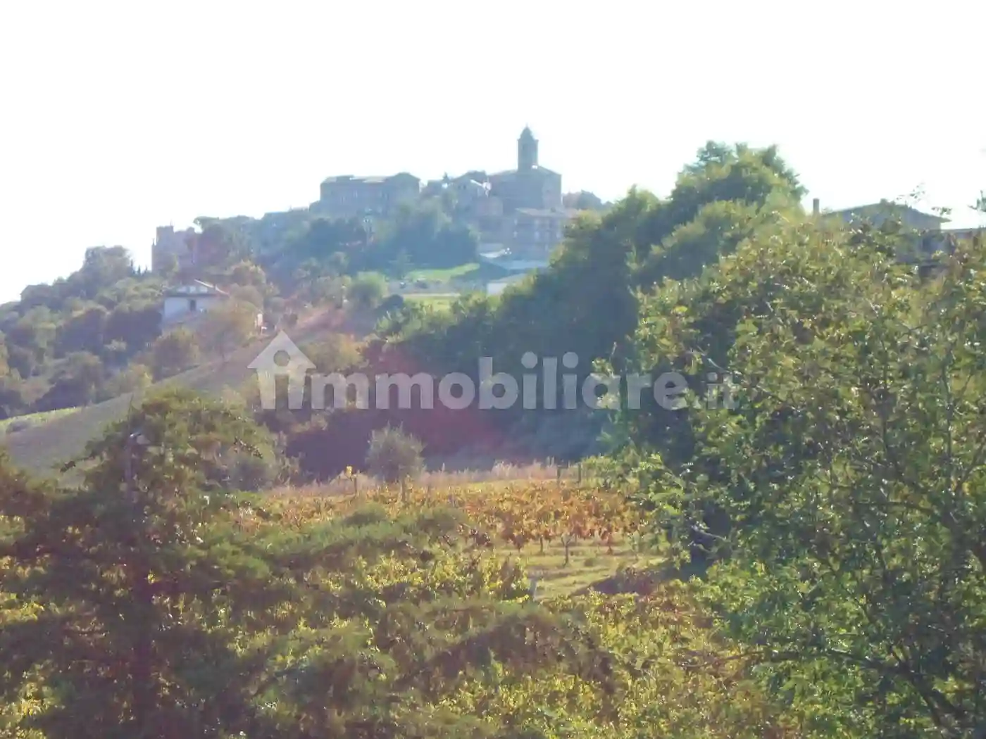 Palazzo - Edificio - foto 2