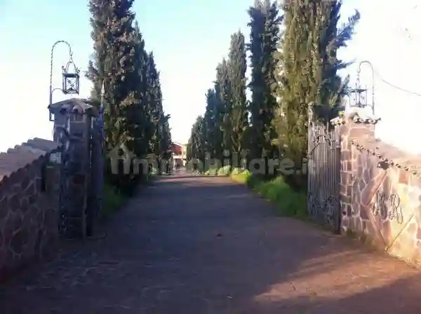 Palazzo - Edificio - foto 5