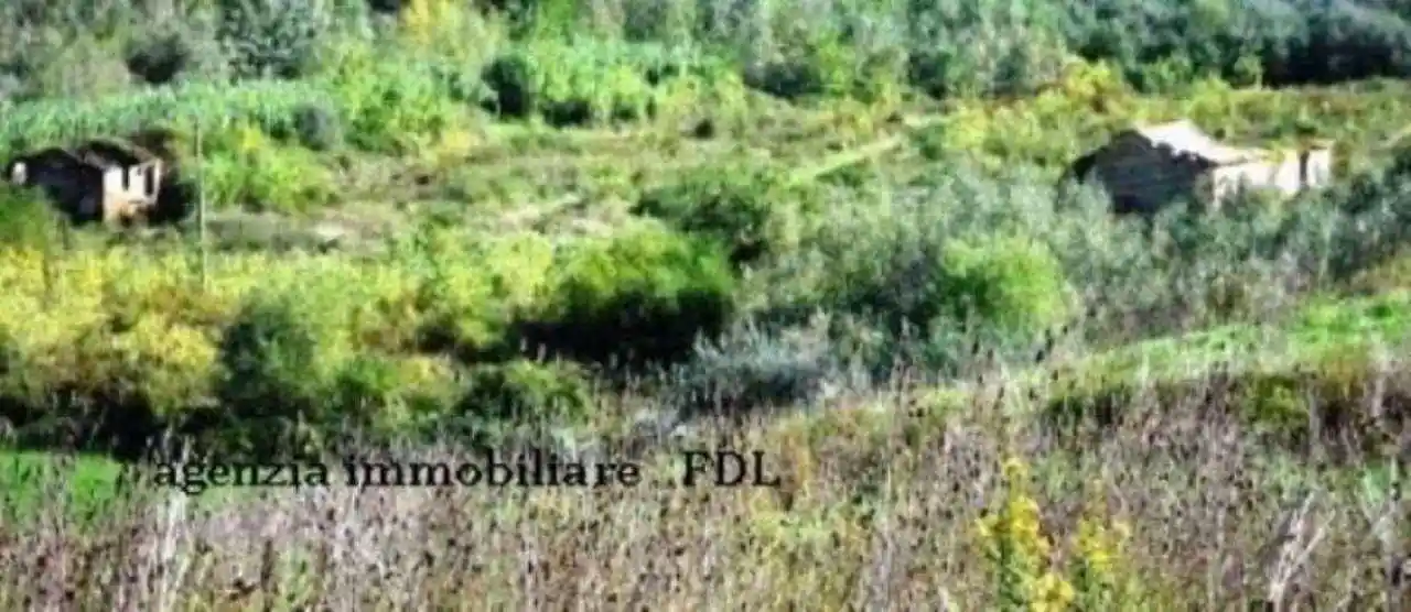 Rustico - Casale in vendita a Peccioli