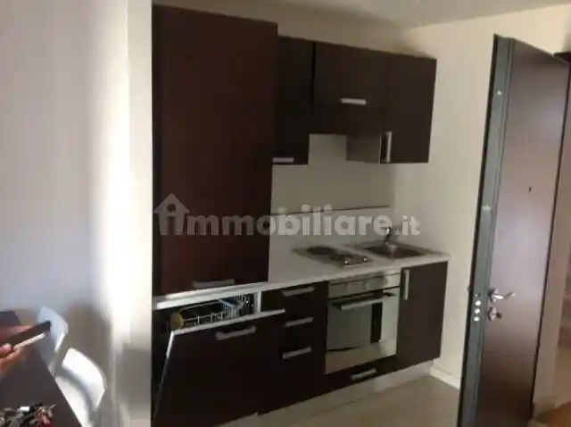 Appartamento in affitto a Pontenure