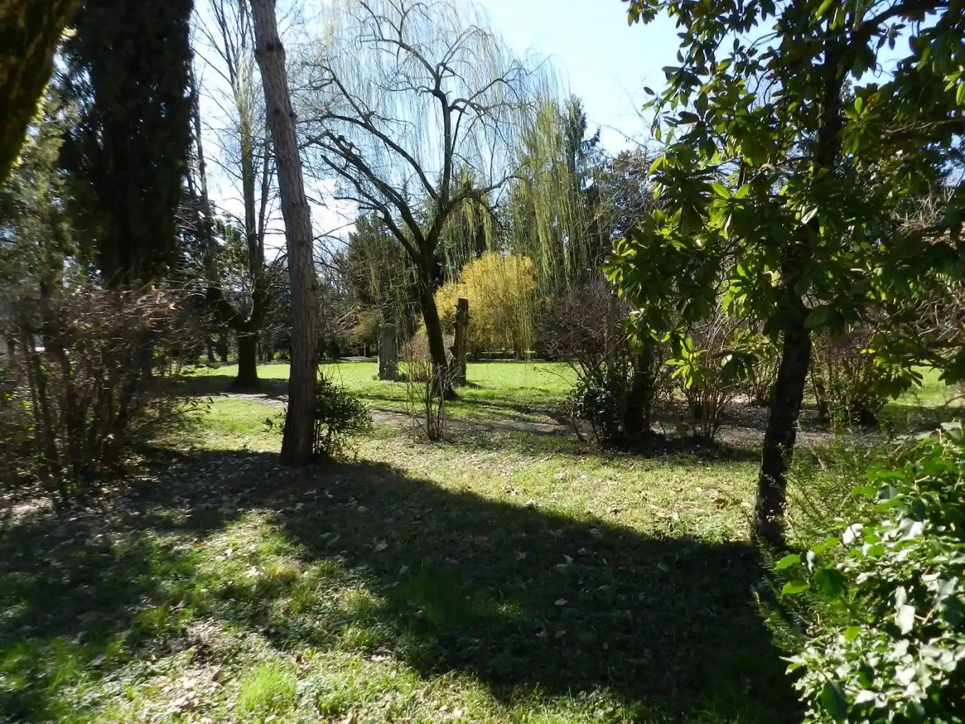 Villa in affitto a Teolo