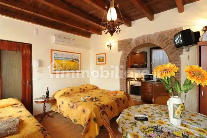 Palazzo - Edificio in vendita a Valeggio sul Mincio