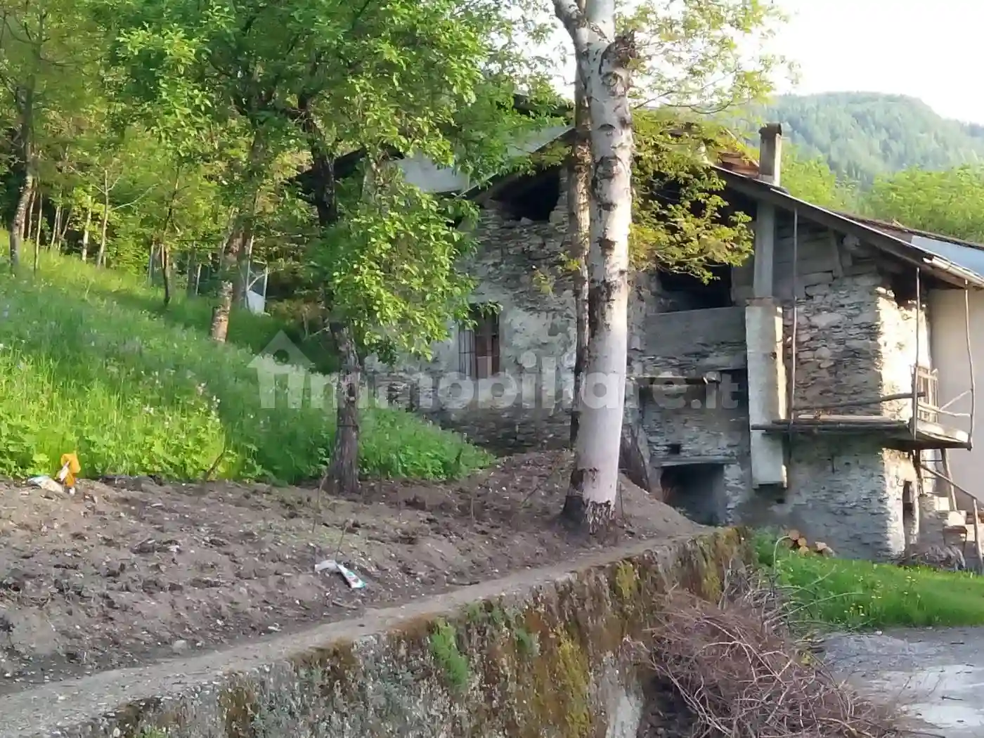 Rustico - Casale - foto 4