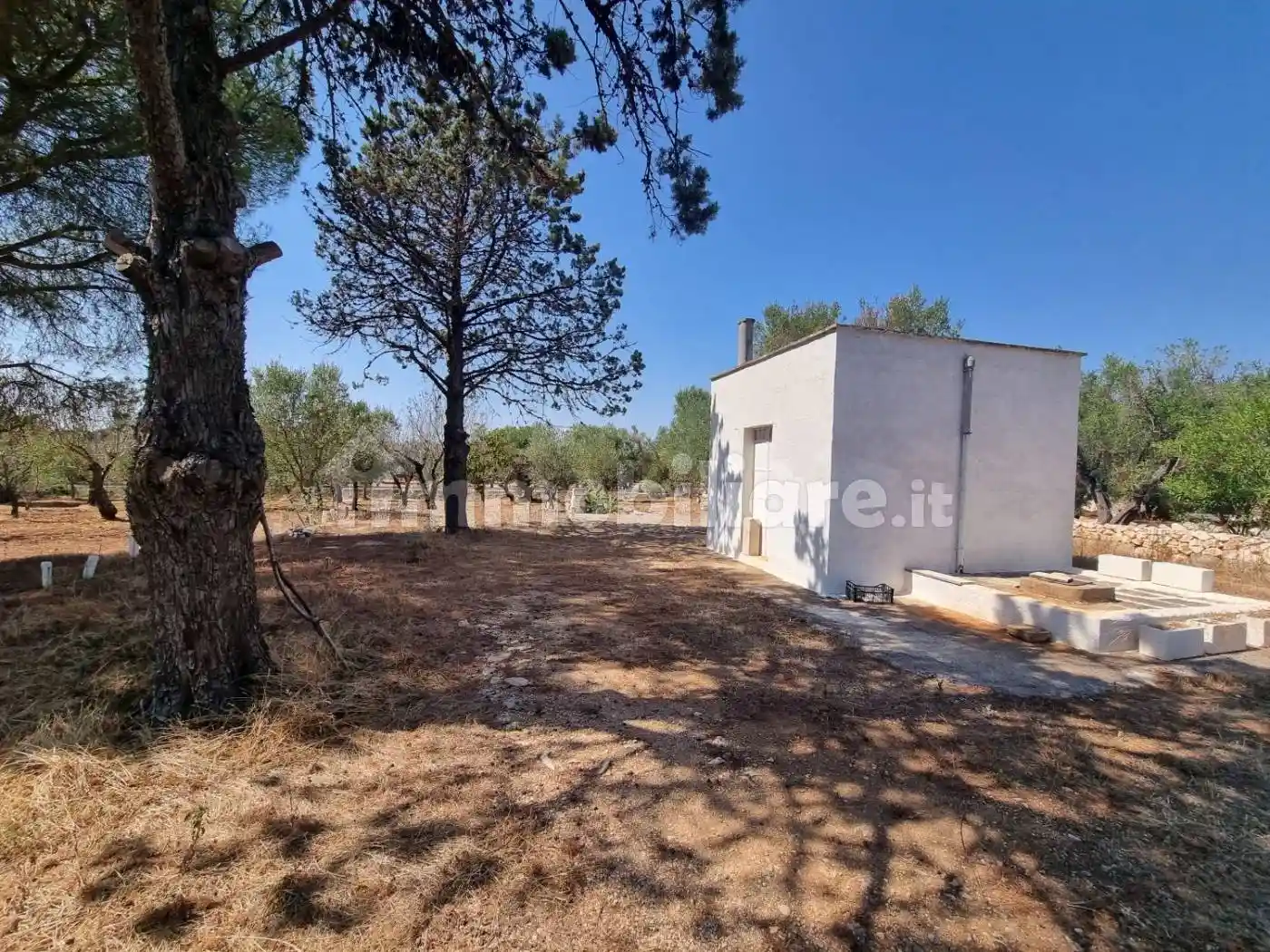 Rustico - Casale in vendita a Carovigno