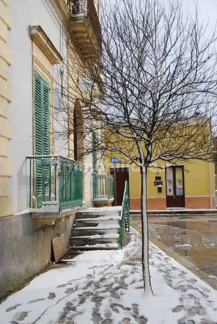 Palazzo - Edificio - foto 5