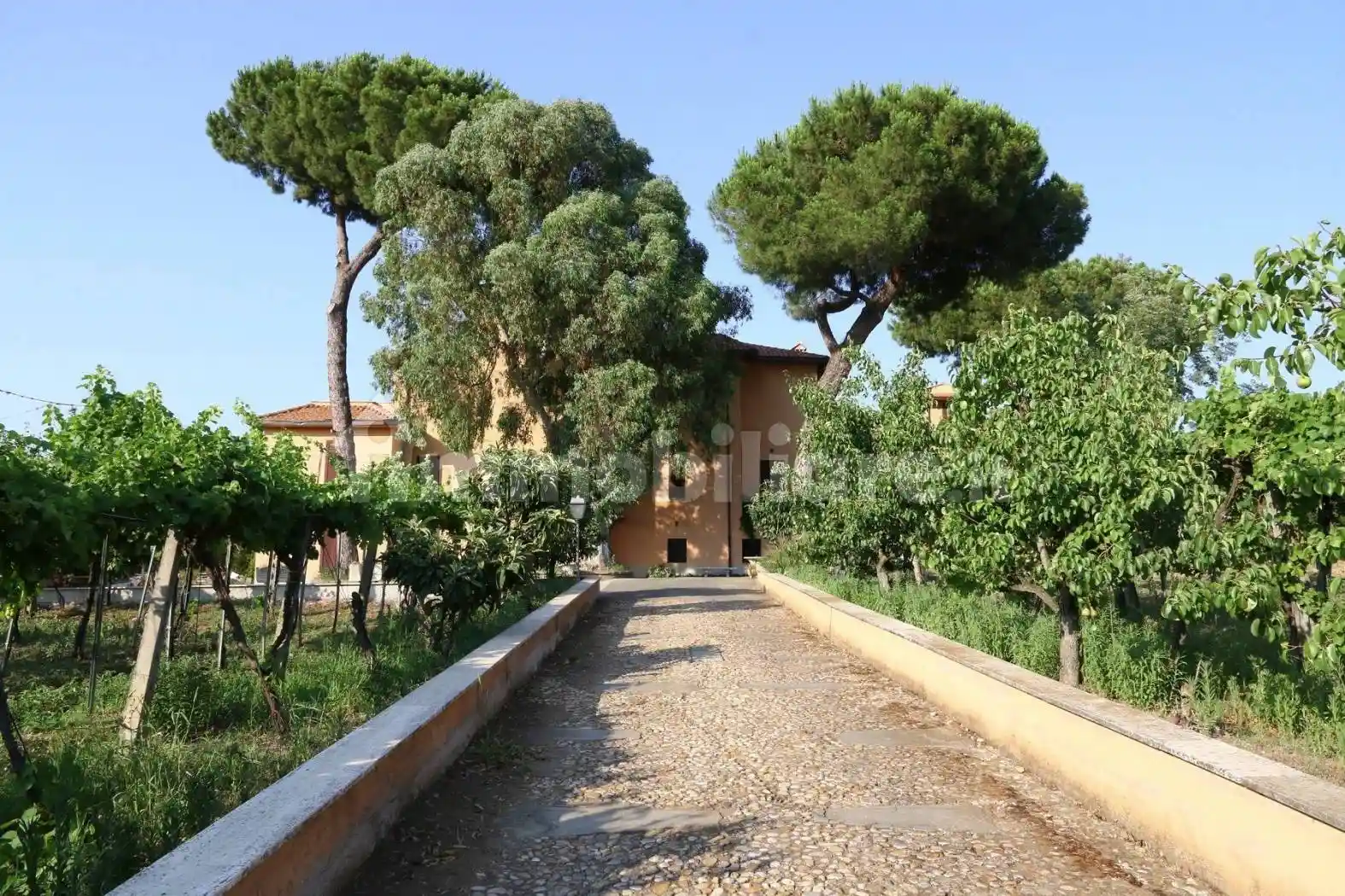 Rustico - Casale in vendita a Roma