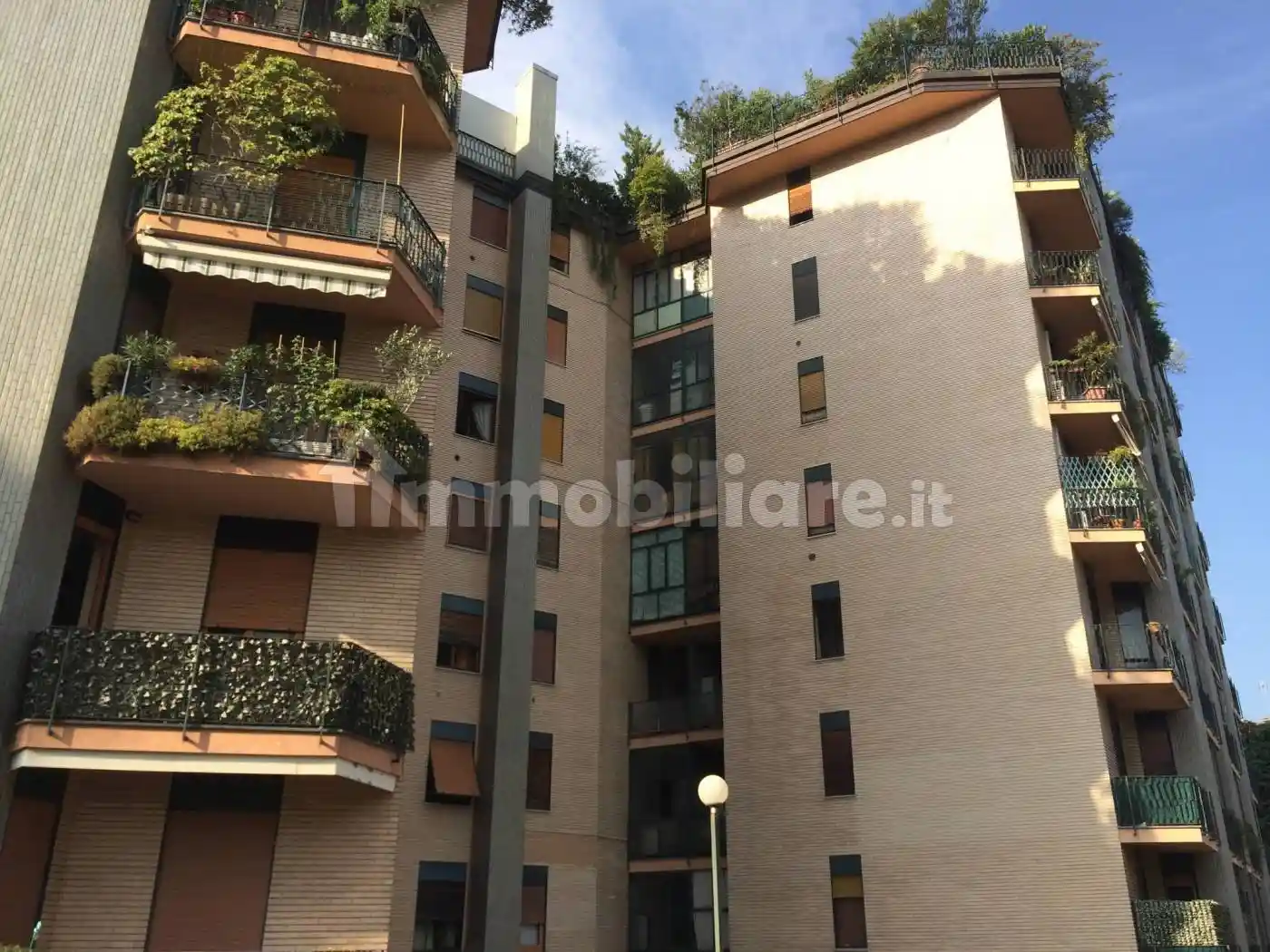 Appartamento in affitto a Monza