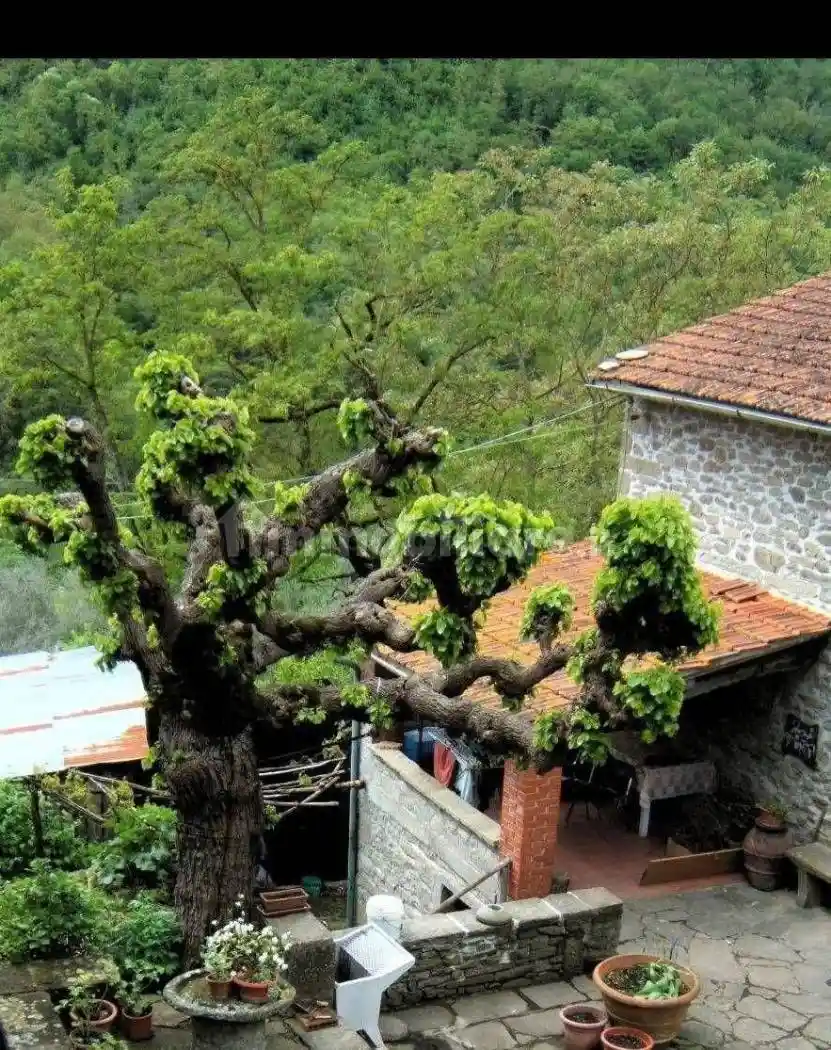 Rustico - Casale in vendita a Londa