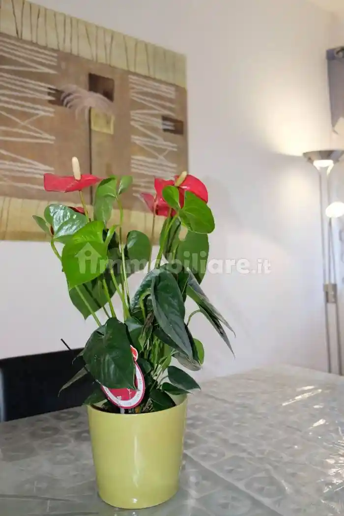 Trilocale via Mar Nero 4, Vaccarizzo, Catania - foto 5