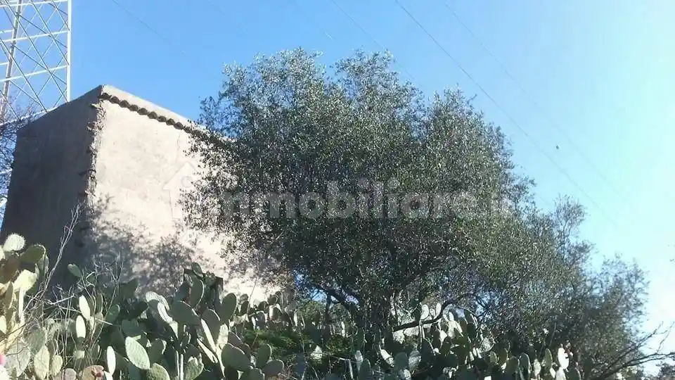 Rustico - Casale in vendita a Piraino