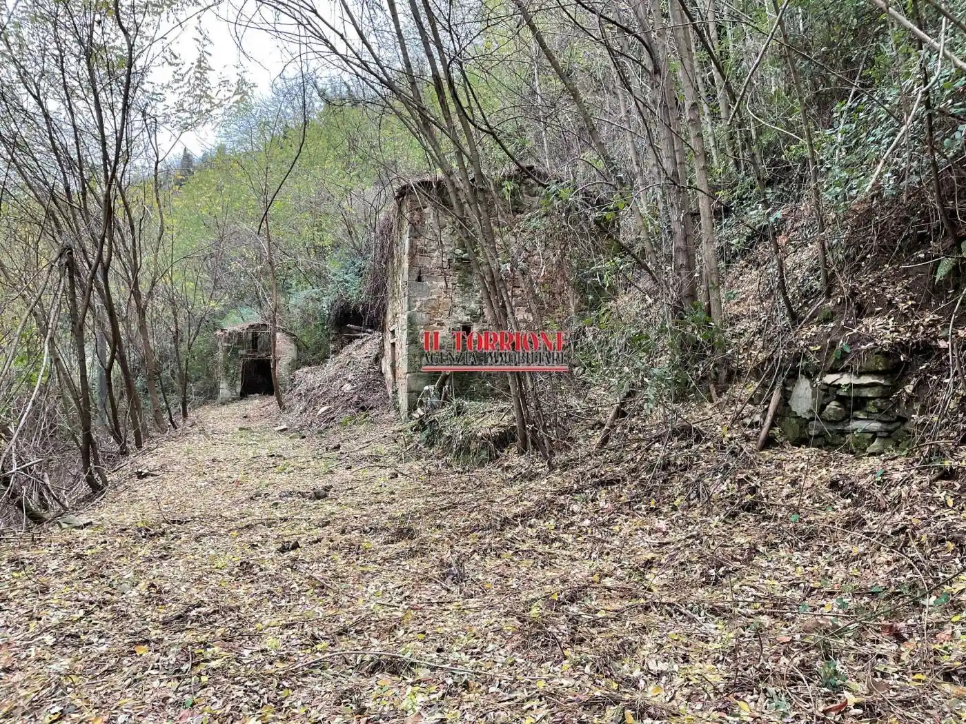 Rustico - Casale in vendita a Pescia