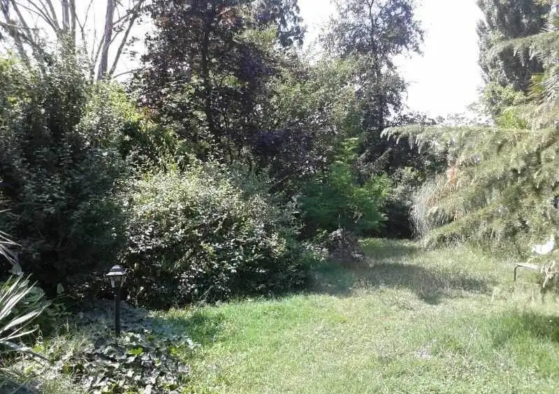 Villa in vendita a Masi Torello