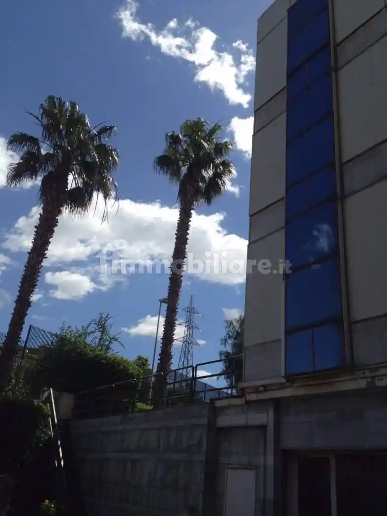 Palazzo - Edificio - foto 4