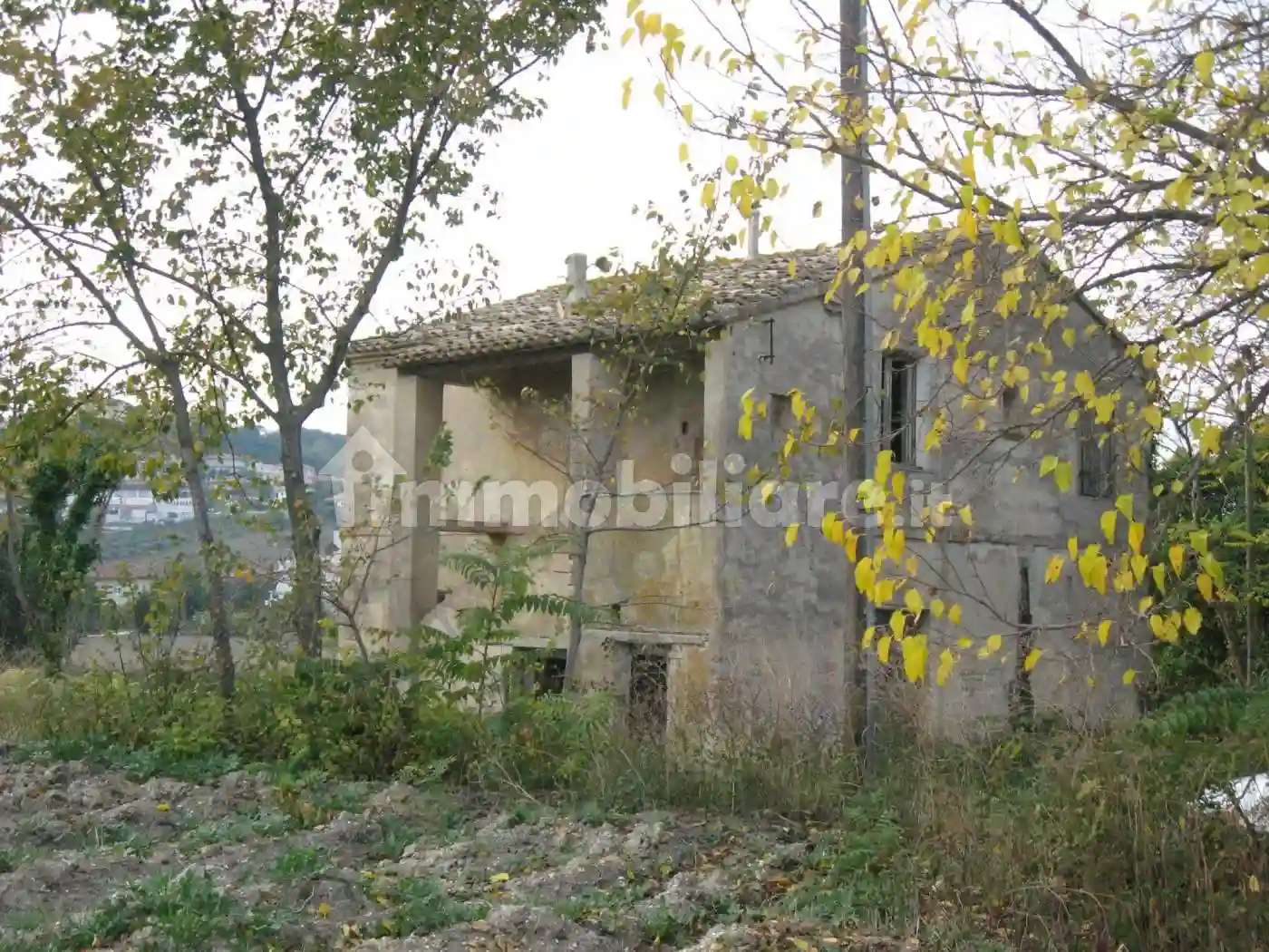 Rustico - Casale - foto 5