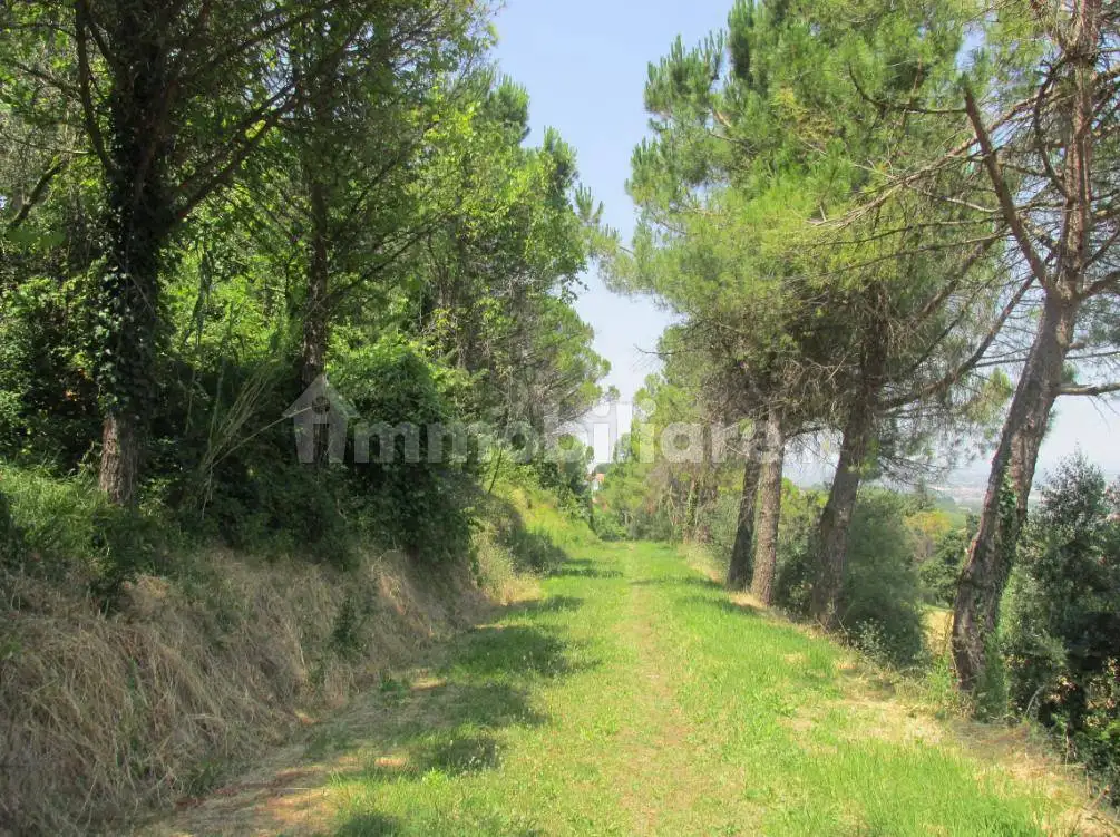 Rustico - Casale in vendita a Cesena