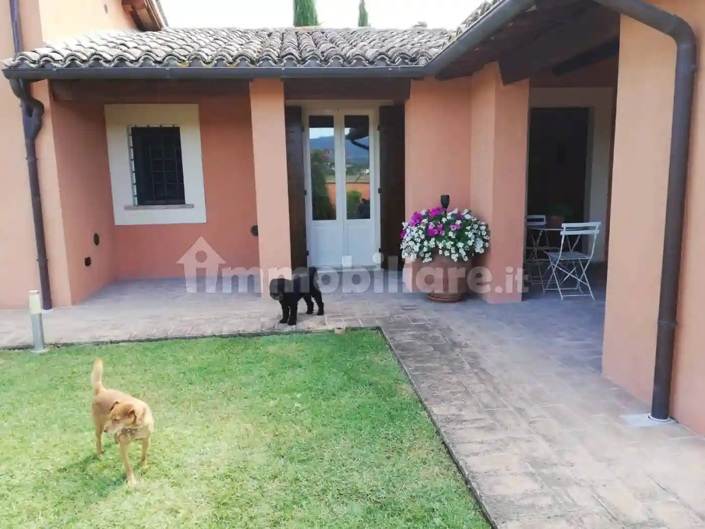 Rustico - Casale - foto 5