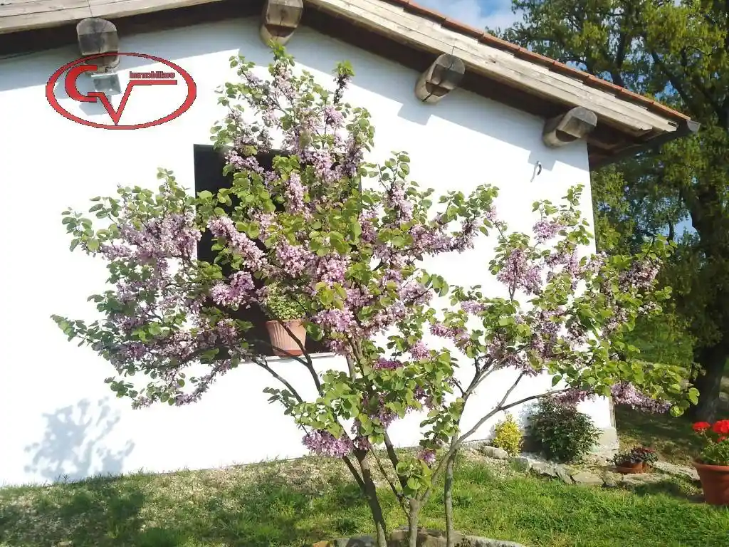 Rustico - Casale in vendita a Terranuova Bracciolini