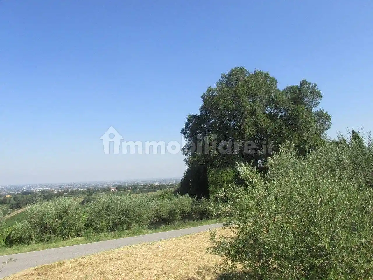Casa indipendente in vendita a Longiano