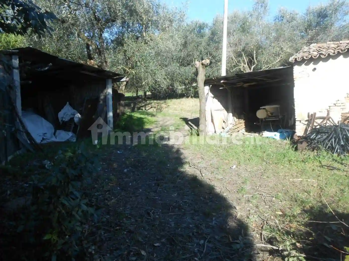 Rustico - Casale - foto 3