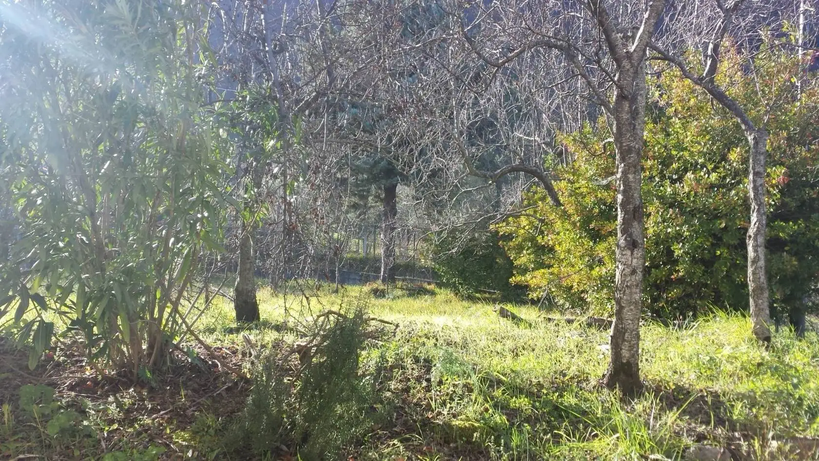 Villa in vendita a Pietrastornina