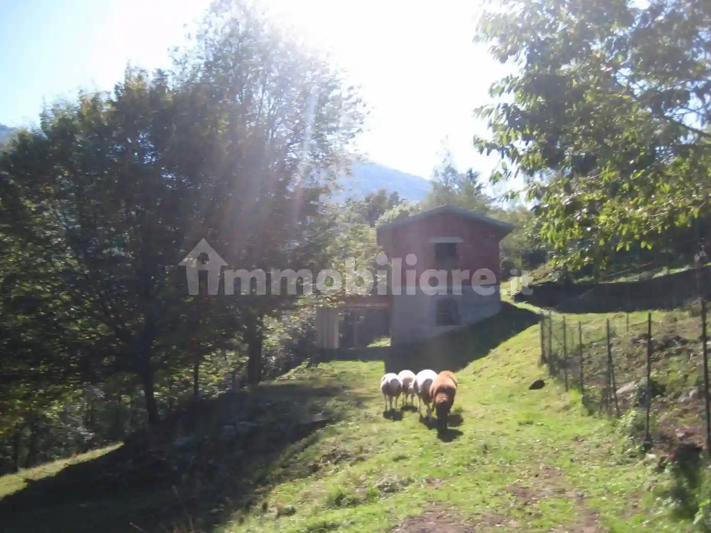 Rustico - Casale - foto 2