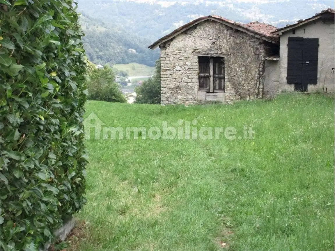 Rustico - Casale in vendita a Bedulita