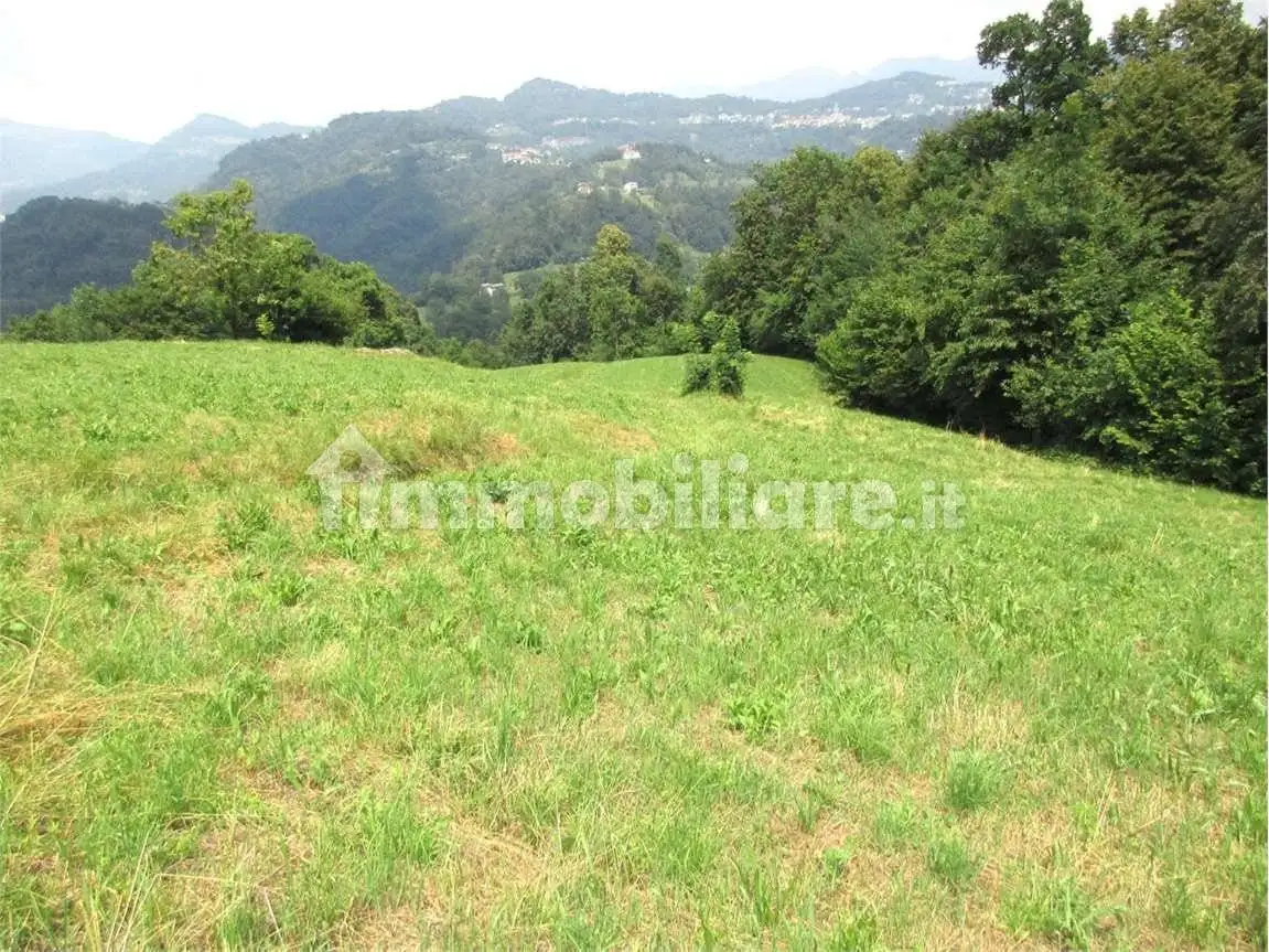 Rustico via Canovelli, Bedulita - foto 5