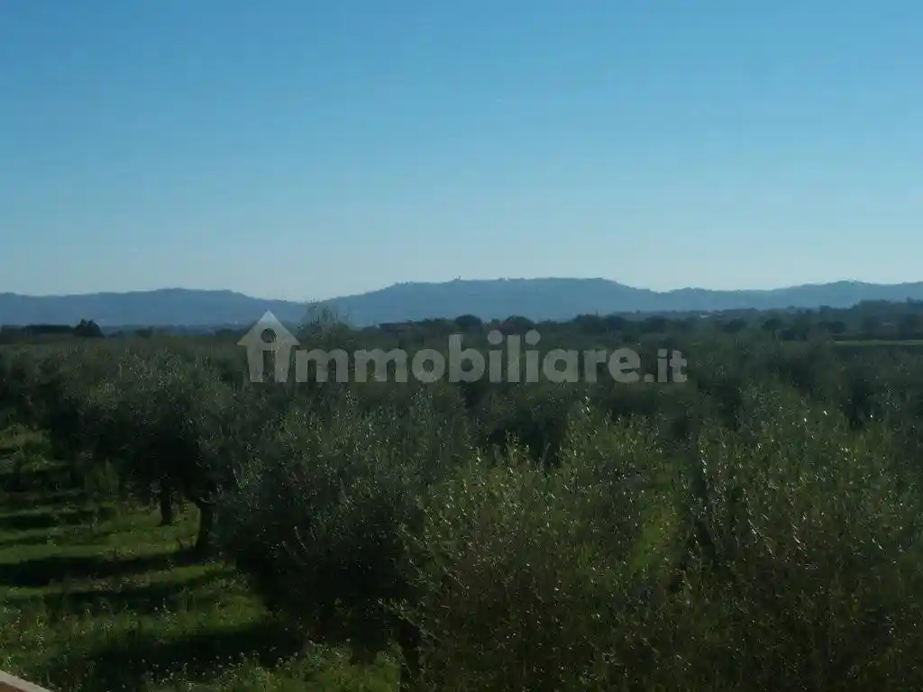 Villa a schiera Contrada Casali, Nocciano - foto 5