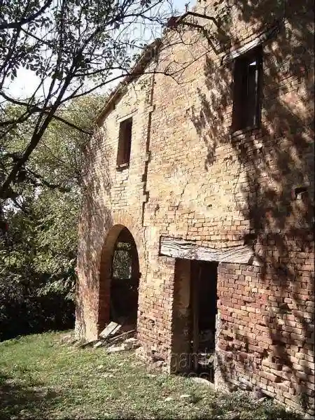 Rustico - Casale - foto 5