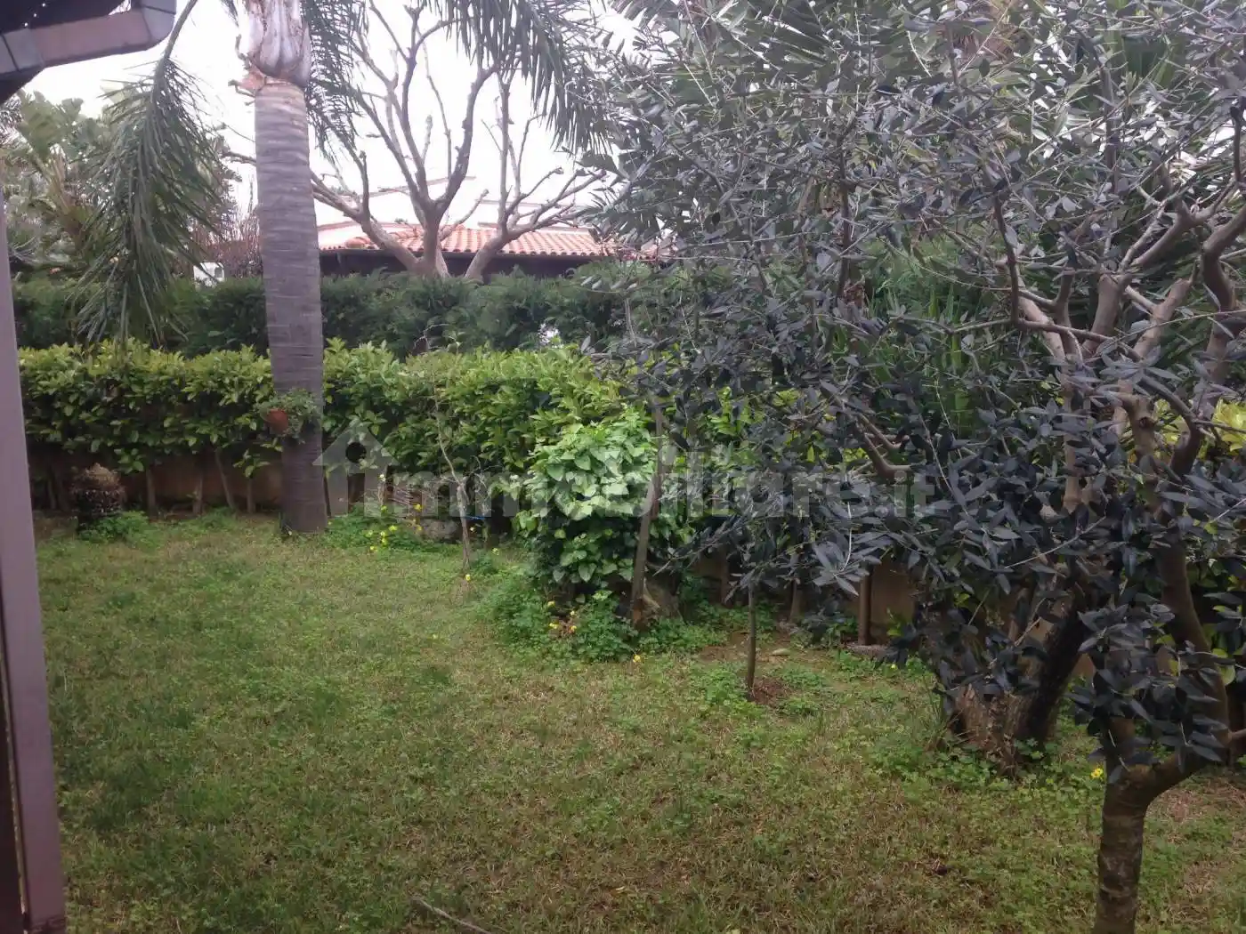 Villetta a schiera in affitto a Carovigno