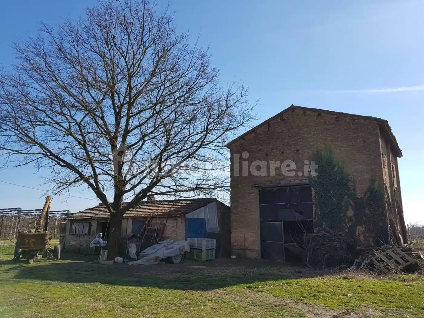 Rustico - Casale in vendita a Bagnacavallo