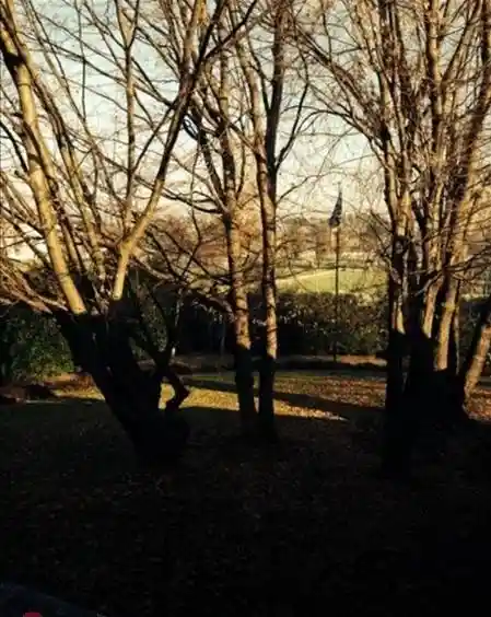 Villa in vendita a Appiano Gentile