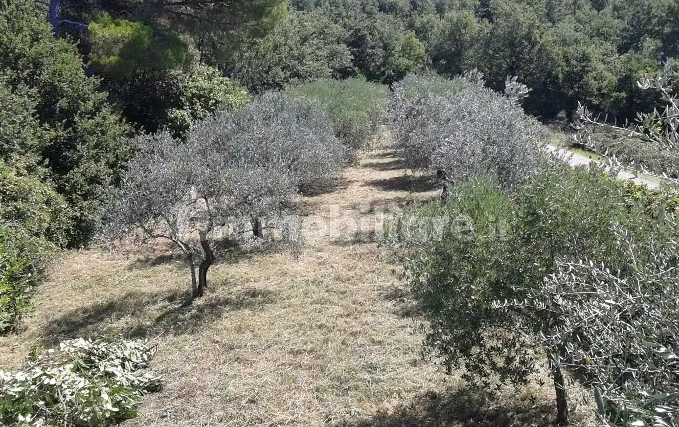Rustico - Casale in vendita a Gualdo Cattaneo