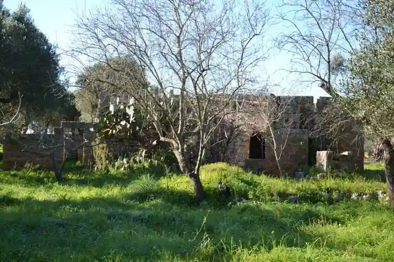 Rustico - Casale - foto 3