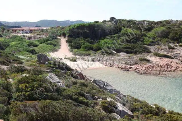 Villetta a schiera in affitto a La Maddalena