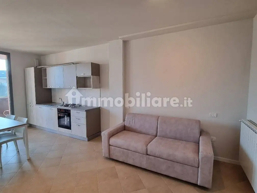 Appartamento in affitto a Viadana