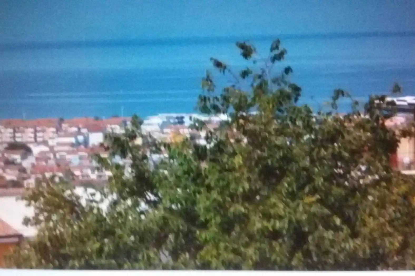 Bilocale via Piano Lettieri 46, Campo Volo, Fiume Lao, La Bruca, Scalea - foto 4