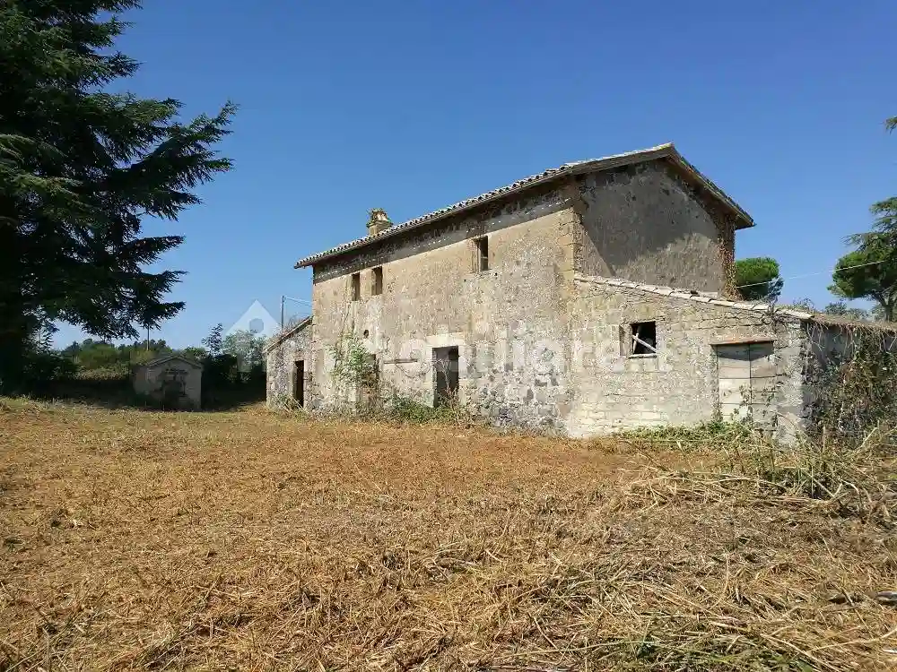 Rustico - Casale - foto 3