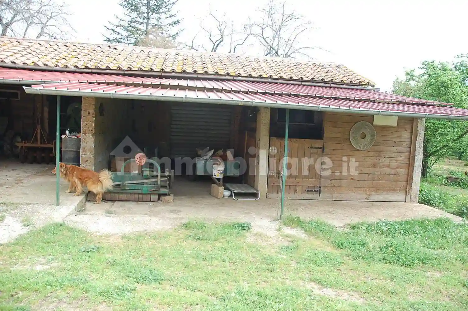 Rustico - Casale - foto 3