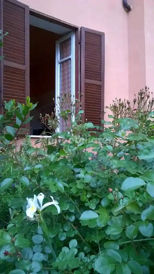 Palazzo - Edificio - foto 5