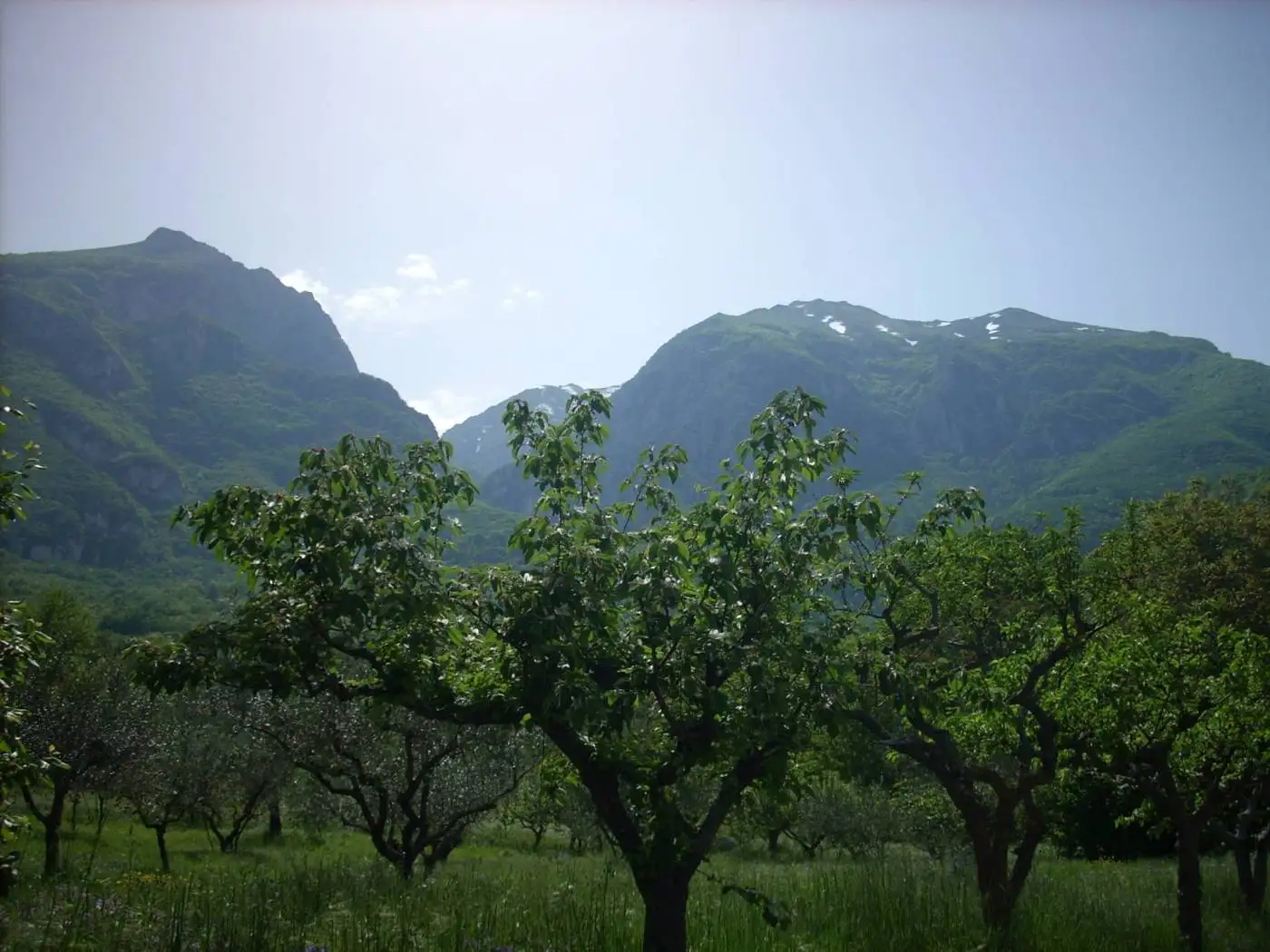 Casa indipendente in vendita a Palombaro