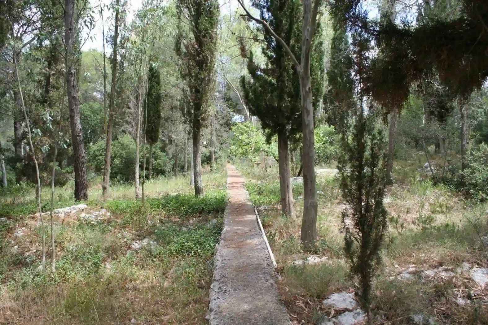 Palazzo - Edificio - foto 3