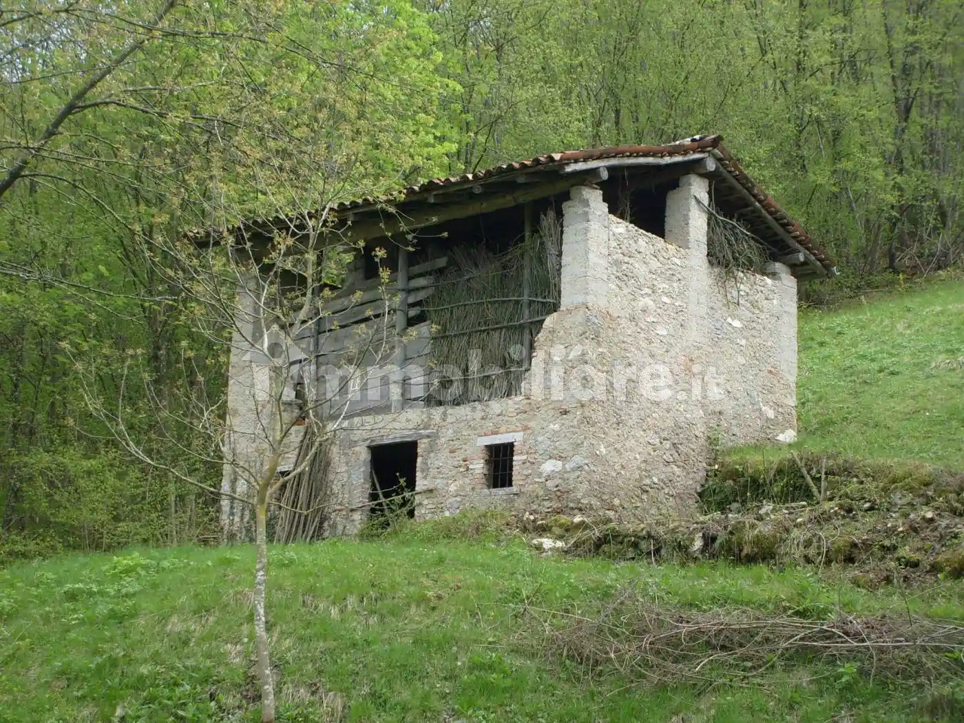 Rustico - Casale - foto 2