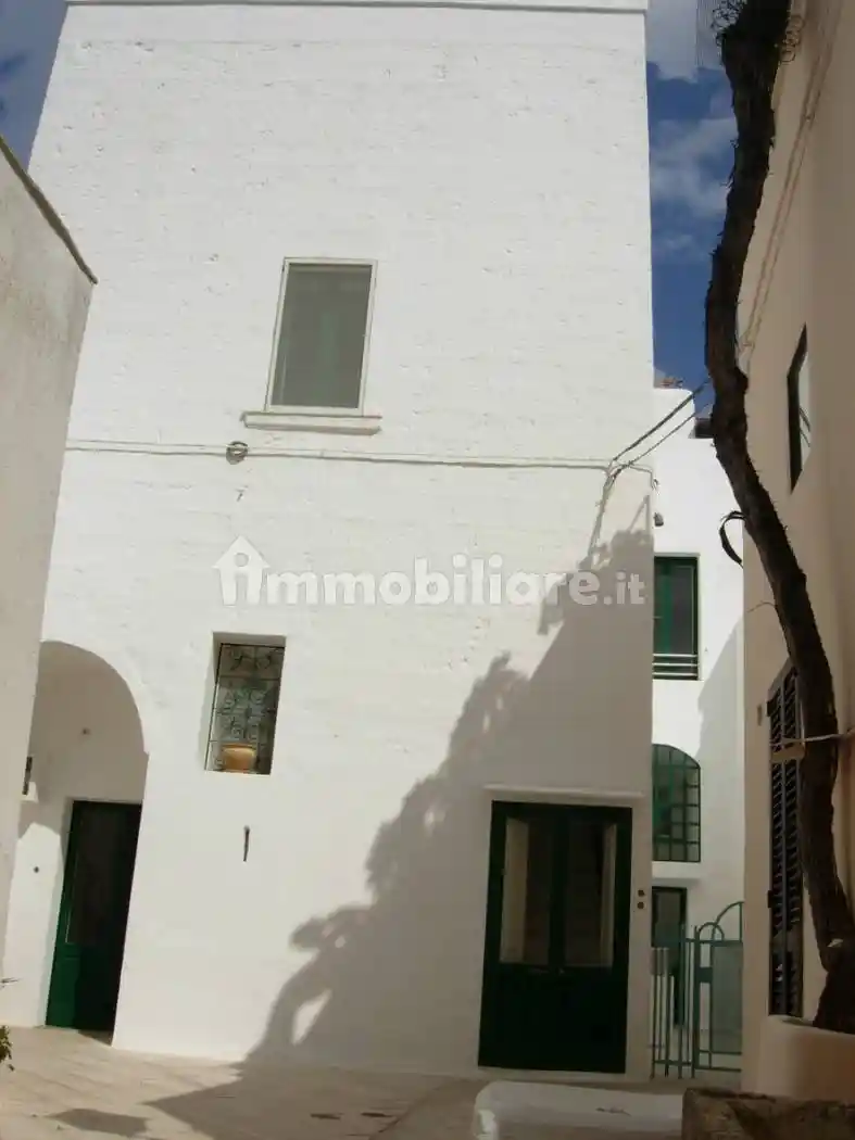 Palazzo - Edificio in vendita a Presicce-Acquarica