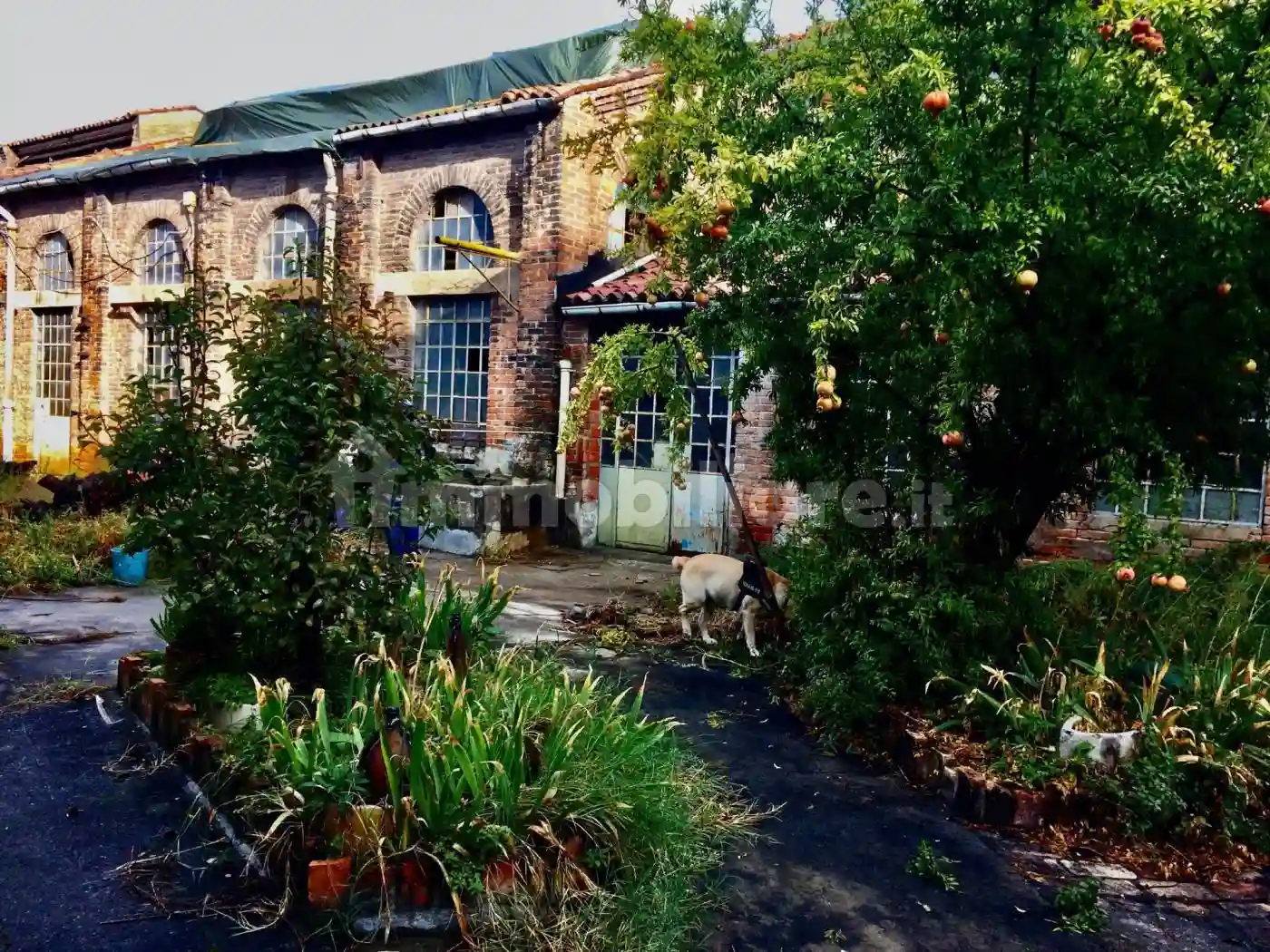 Palazzo - Edificio - foto 3