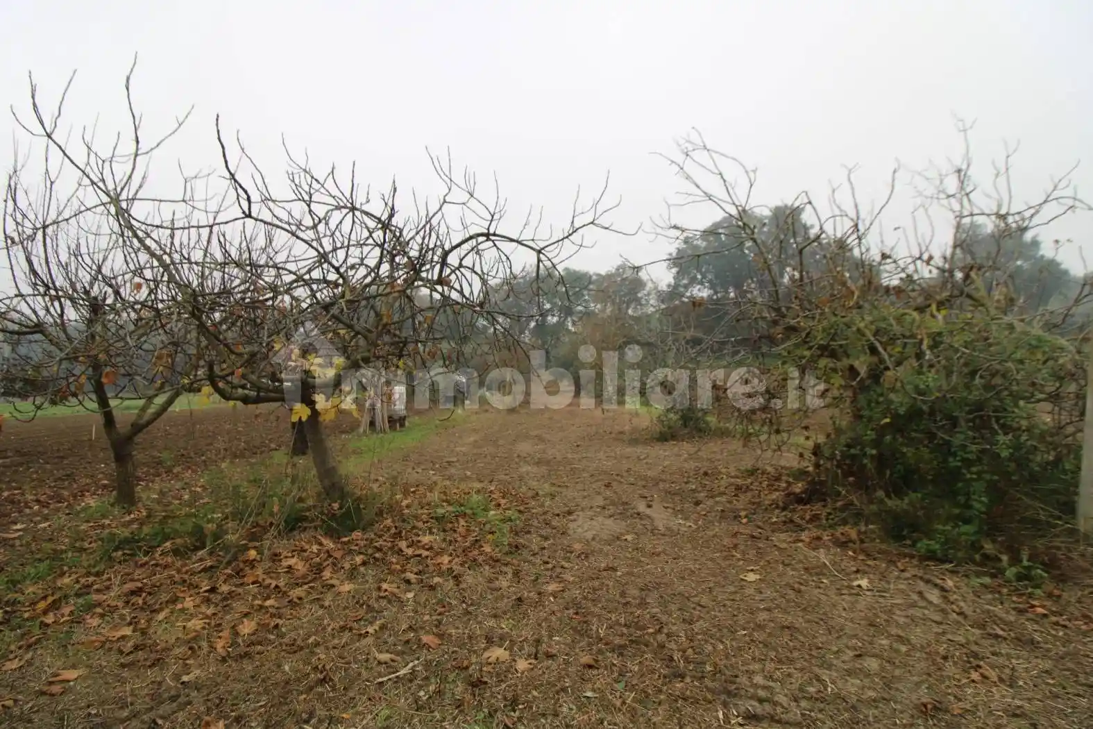 Appartamento buono stato, Santa Lucia, Jesi - foto 5