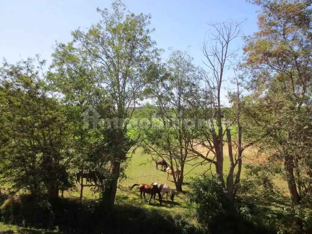 Appartamento in vendita a Castiglione della Pescaia