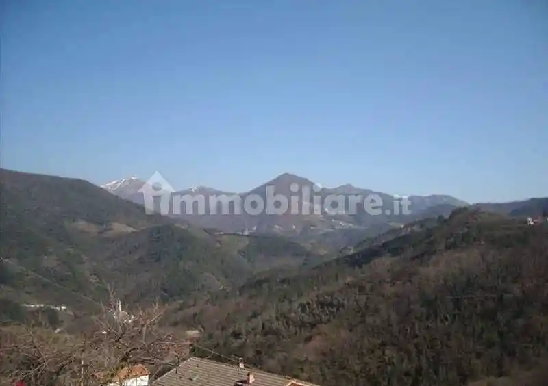 Rustico - Casale in vendita a Ne